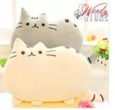 Pusheen Cat