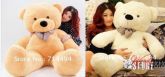 Urso Gigante